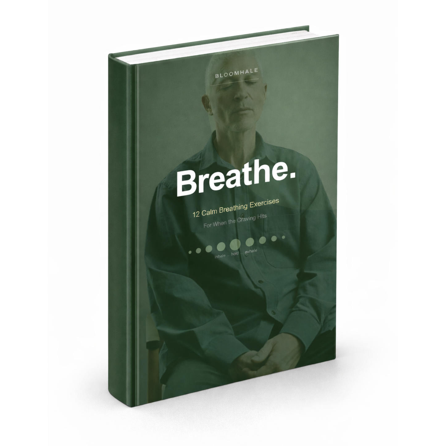 🎁  Breathe: 12 Calm Breathing Exercises for When the Craving Hits (100% off)