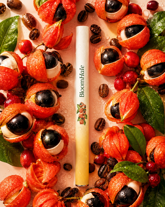 Guarana Fruit Ritual Stick