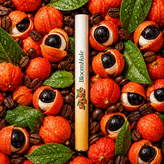 BloomHale Guarana Fruit Ritual Stick flavour